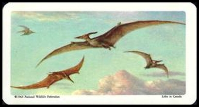 38 Pteranodon
